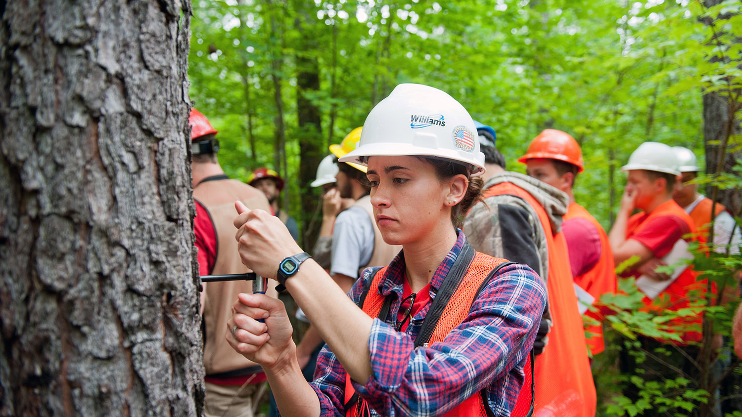 B.Sc Forestry